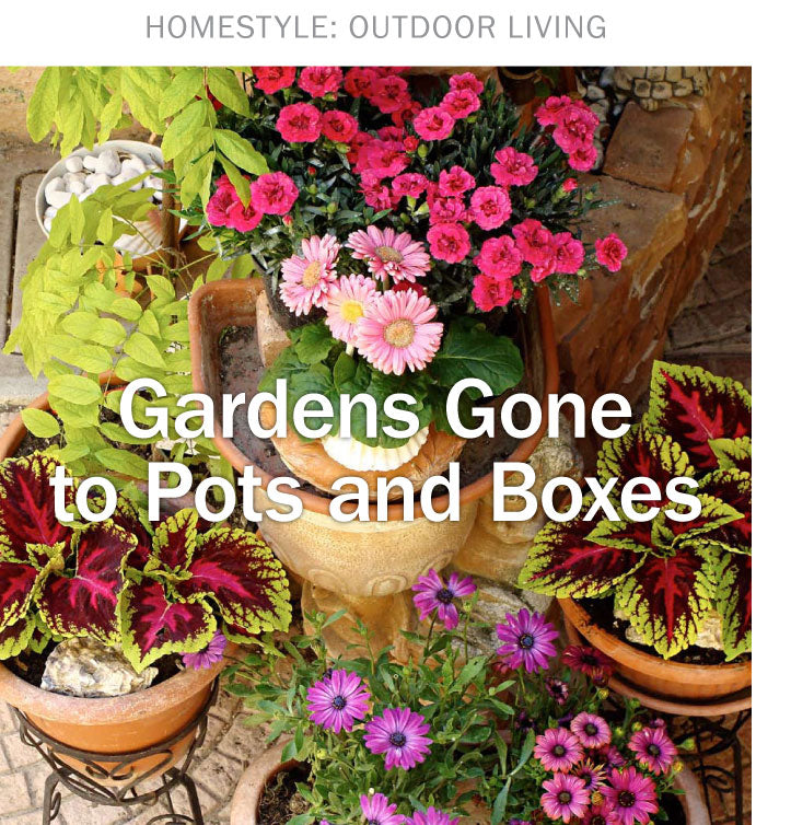 HomeStyle Outdoor Living - The Content Store